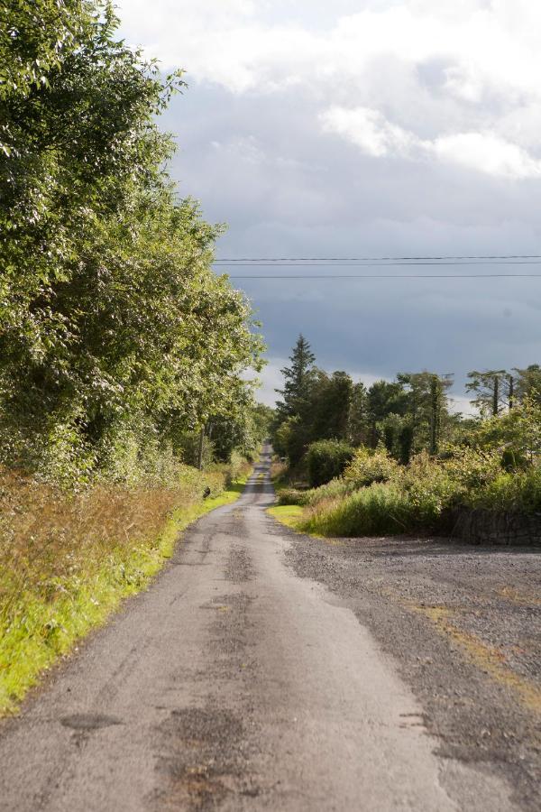 Inviting 4-Bed House In Strokestownヴィラ エクステリア 写真